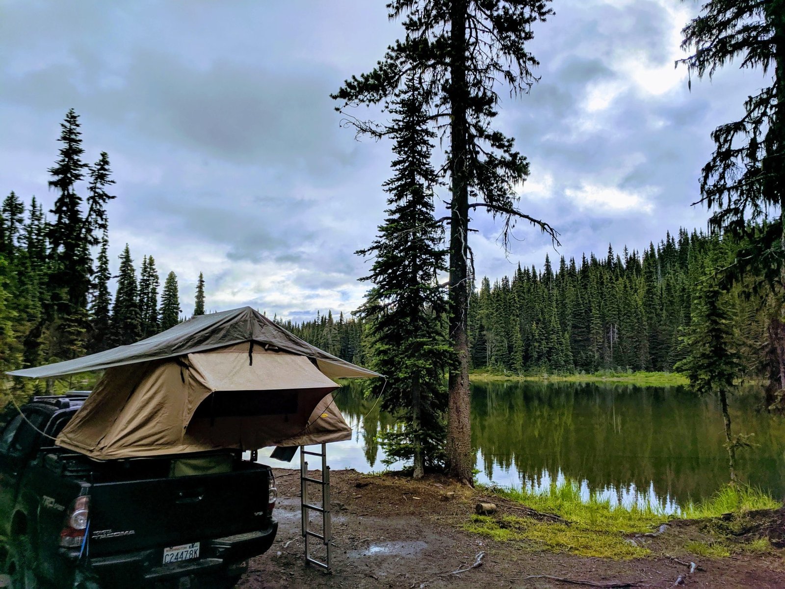 The Whipsaw Trail
